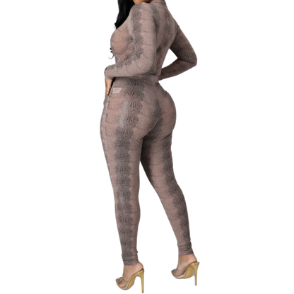 Snake Life Set