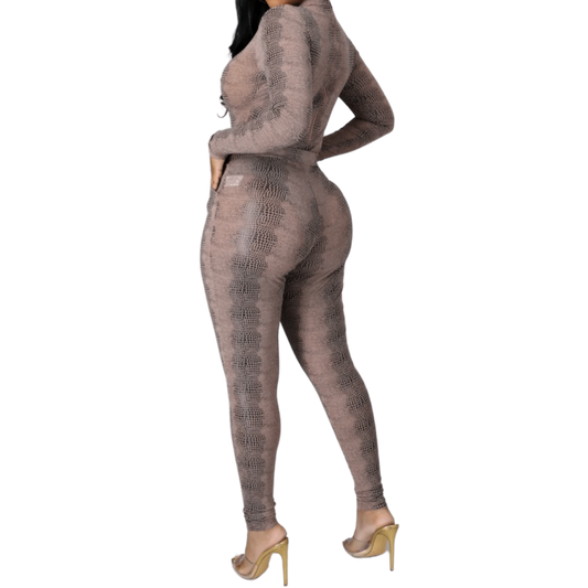 Snake Life Set